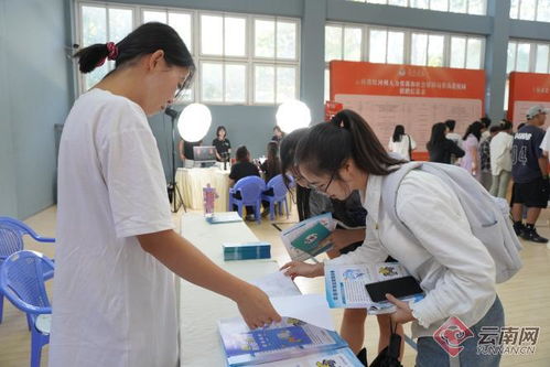 蒙自市扎實開展民營企業服務月系列活動，助力社會經濟發展