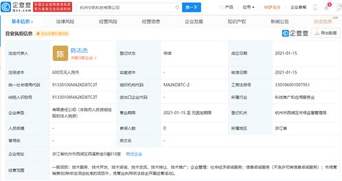社會經(jīng)濟咨詢服務 驅動發(fā)展與決策的智慧引擎